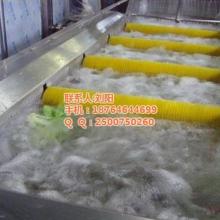 辣椒加工與調(diào)味品生產(chǎn)機(jī)械專家——中國富樂食品機(jī)械廠