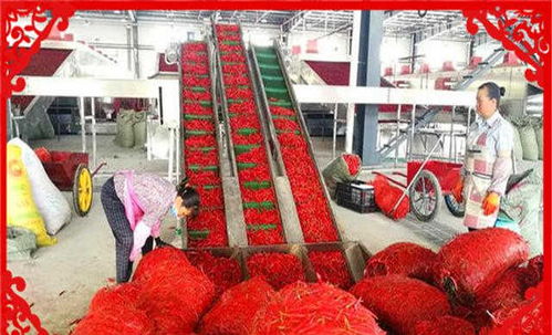 農(nóng)村創(chuàng)業(yè)新機(jī)遇 干好這幾個(gè)農(nóng)副產(chǎn)品加工項(xiàng)目，不愁沒錢賺