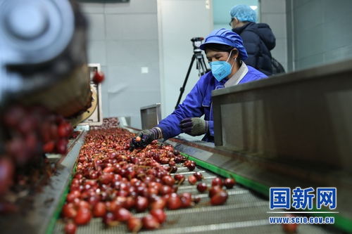 怒江峽谷 農(nóng)副產(chǎn)品加工交易中心助力脫貧攻堅(jiān)