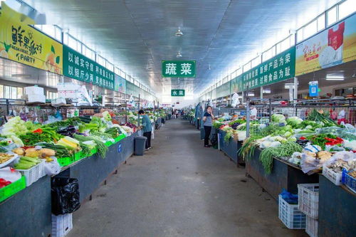 豐臺(tái)大型農(nóng)副產(chǎn)品交易市場全面復(fù)工，保障農(nóng)副產(chǎn)品供應(yīng)