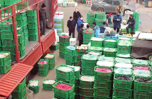 太原河西農(nóng)副產(chǎn)品市場 菜籃子貨豐價(jià)穩(wěn)，保障民生供給