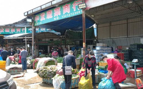 武漢解封首日 白沙洲農(nóng)副產(chǎn)品大市場車流激增 供應(yīng)穩(wěn)定