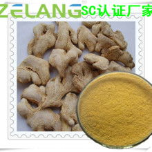 農副產品加工廠 專注姜類產品，推動產業升級