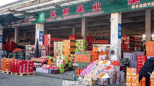 658畝大型商業地塊亮相，揚州這一區域展現農副產品流通新野心